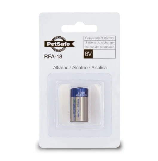 6 Volt Alkaline Battery