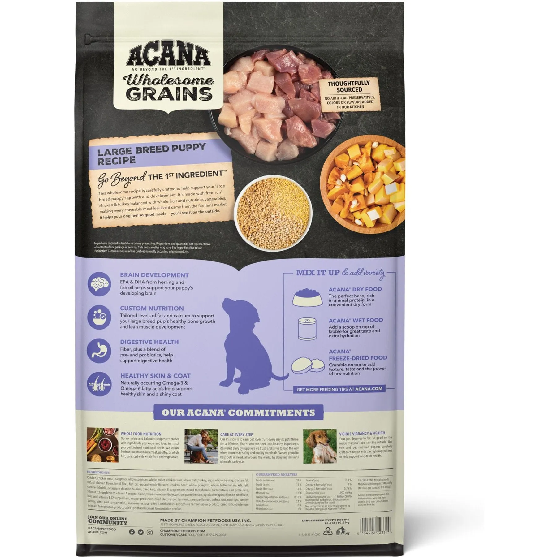 ACANA Wholesome Grains Large Breed Puppy Dry Dog Food, 22.5-lb bag