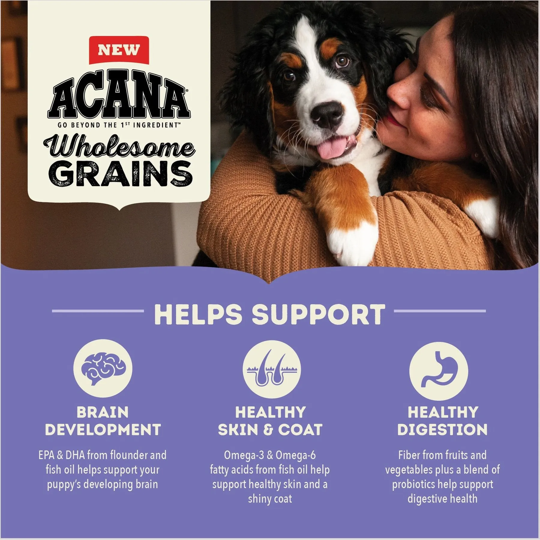 ACANA Wholesome Grains Large Breed Puppy Dry Dog Food, 22.5-lb bag