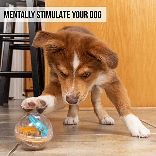 Adjustable Dog Treat Dog Ball and Treat Dispensing Dog Toys
