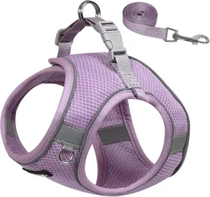 AIITLE Small Dog Harness, No-Pull Cat Harness with a Leash, Step in Adjustable Puppy Harness with Quick-Release Buckle, Reflective Outdoor Pet Vest for Extra Small Dogs and House Cats Purple XXS