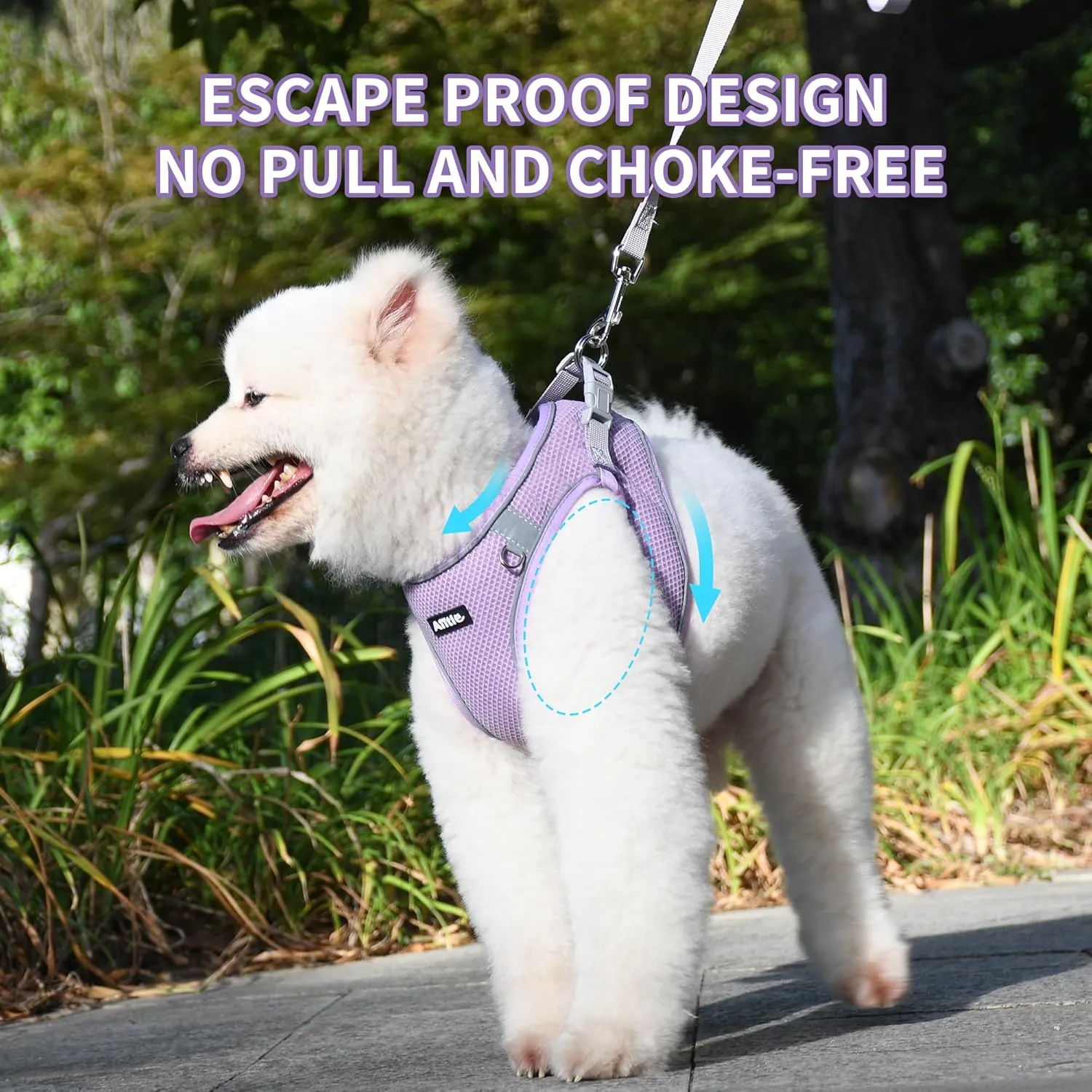 AIITLE Small Dog Harness, No-Pull Cat Harness with a Leash, Step in Adjustable Puppy Harness with Quick-Release Buckle, Reflective Outdoor Pet Vest for Extra Small Dogs and House Cats Purple XXS