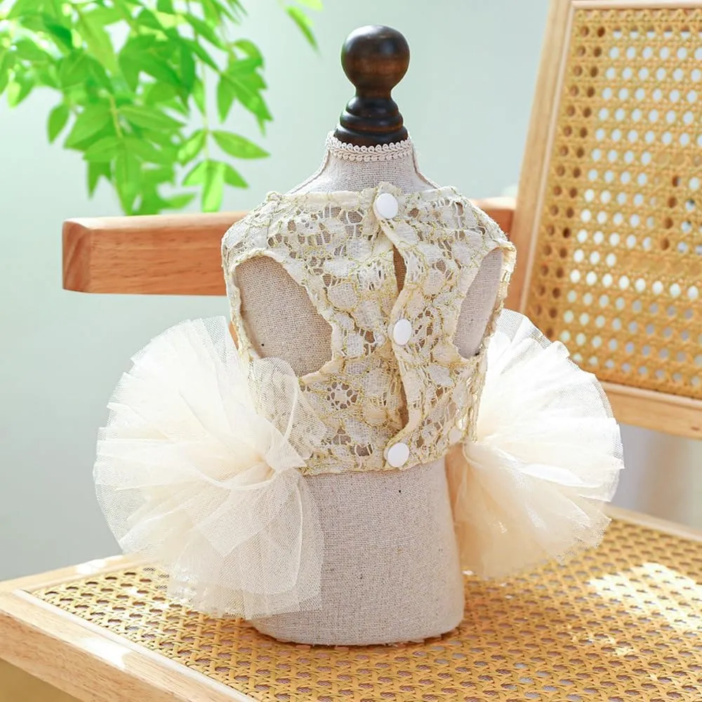 ANIAC Small Dog Dresses,Girl Puppy Princess Tutu Dress with Bow Knot,Cat Outfit,Chihuahua Yorkie Clothes for Birthday Wedding (X-Small,GL)