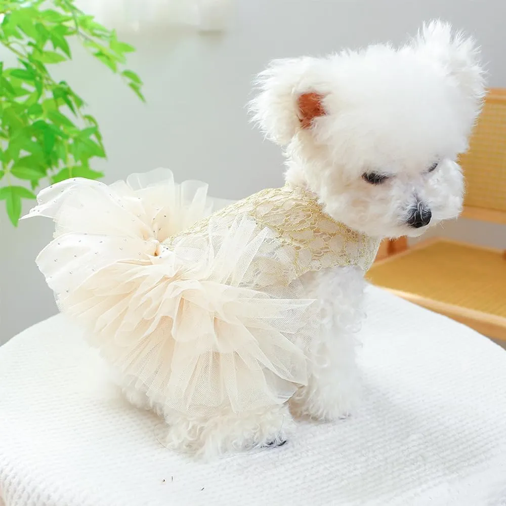 ANIAC Small Dog Dresses,Girl Puppy Princess Tutu Dress with Bow Knot,Cat Outfit,Chihuahua Yorkie Clothes for Birthday Wedding (X-Small,GL)