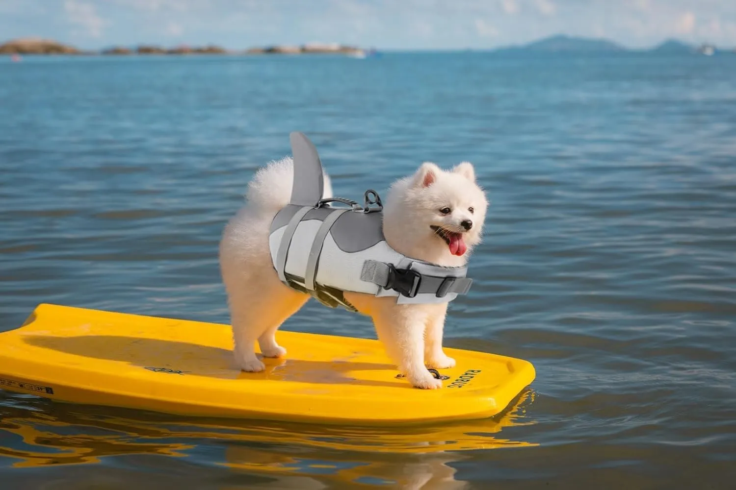 ASENKU Dog Life Jacket - Pet Safety Vest for Swimming & Boating, Shark Life Jacket with Floatation, Dog Lifesavers Swimsuits for Small Medium Large Dogs (Grey, XL)