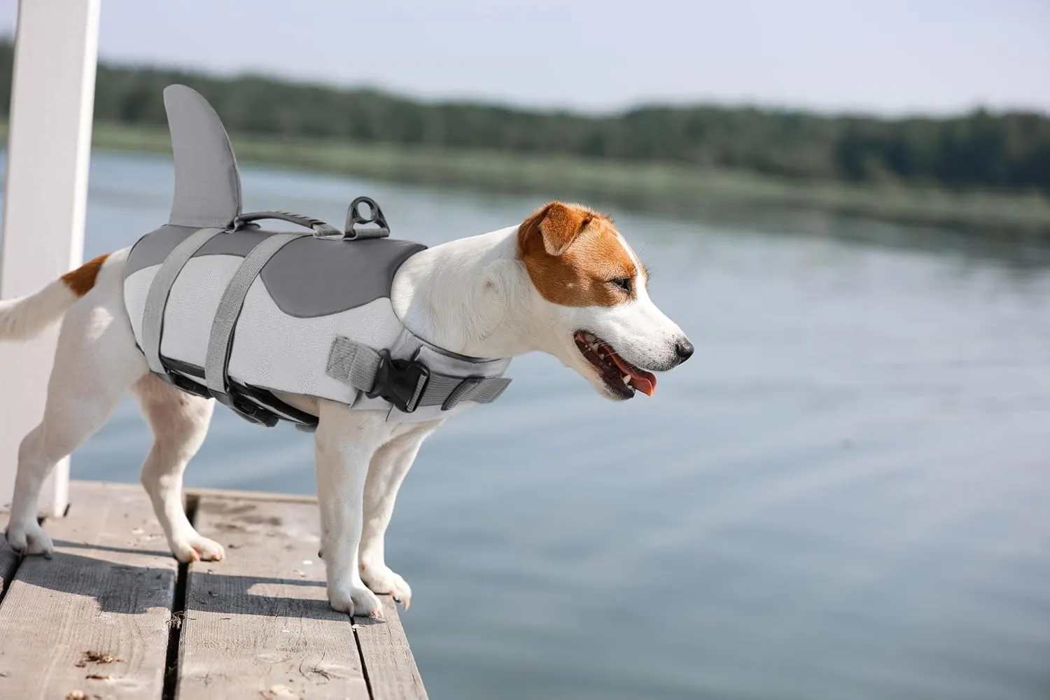 ASENKU Dog Life Jacket - Pet Safety Vest for Swimming & Boating, Shark Life Jacket with Floatation, Dog Lifesavers Swimsuits for Small Medium Large Dogs (Grey, XL)