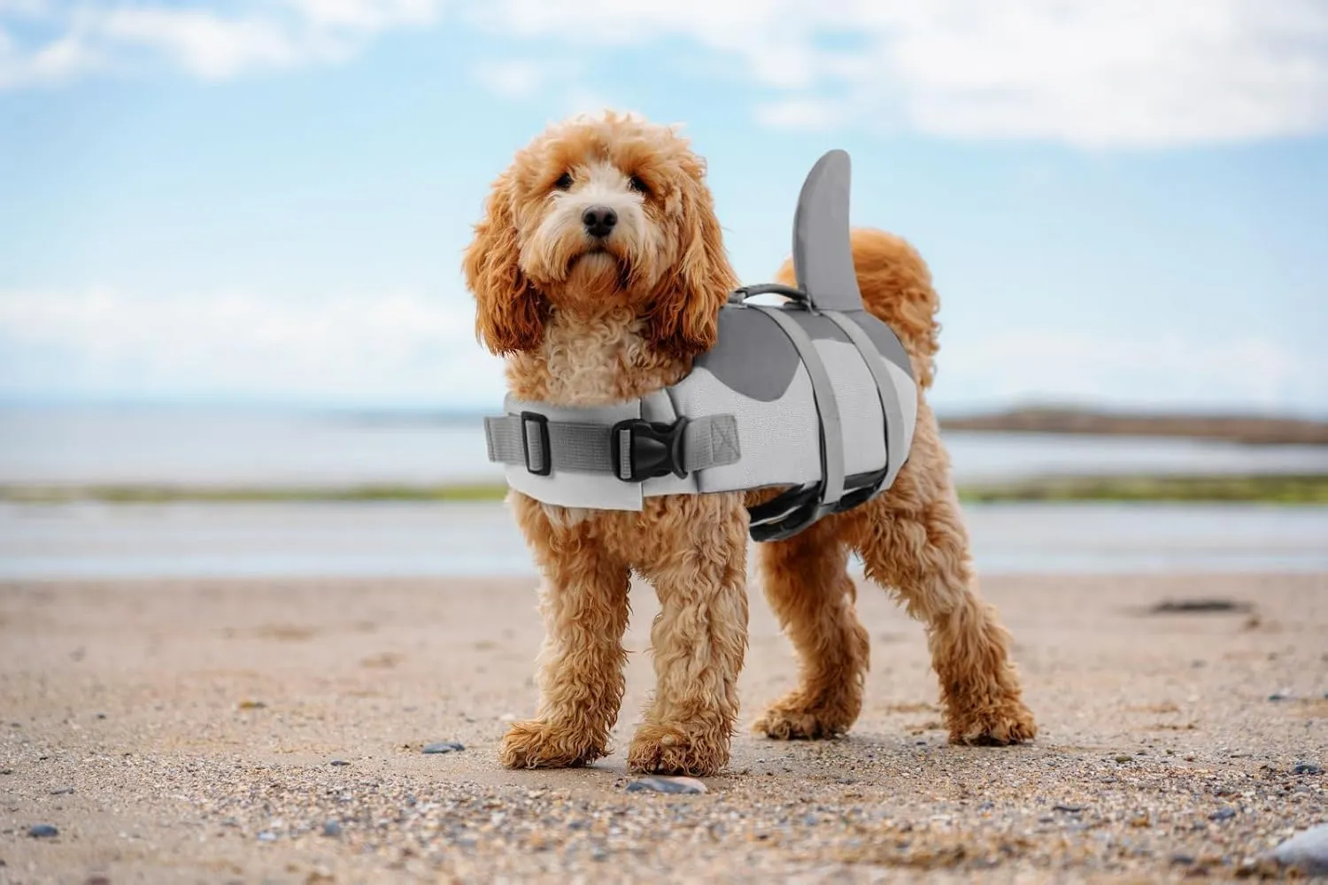 ASENKU Dog Life Jacket - Pet Safety Vest for Swimming & Boating, Shark Life Jacket with Floatation, Dog Lifesavers Swimsuits for Small Medium Large Dogs (Grey, XL)
