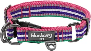 Blueberry Pet Reflective Dog Collar | Adjustable Dog Collars for Small Dogs | Light Dog Collar for Night Walking | Multi-Colored Stripe | Pink, Emerald & Orchid | Night Dog Walking Accessories