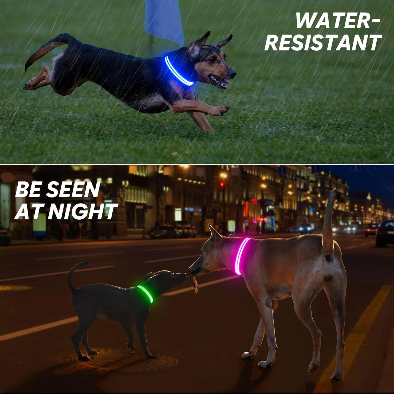 BSEEN Light Up Dog Collar - High Visibility LED Dog Collar Rechargeable, Double Line Fiber Optic Glow in The Dark Dog Collars, Safety Dog Lights for Night Walking (Green, Large)