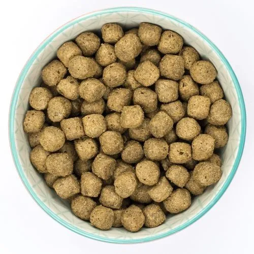 Burns Dog Original Lamb & Brown Rice 6KG