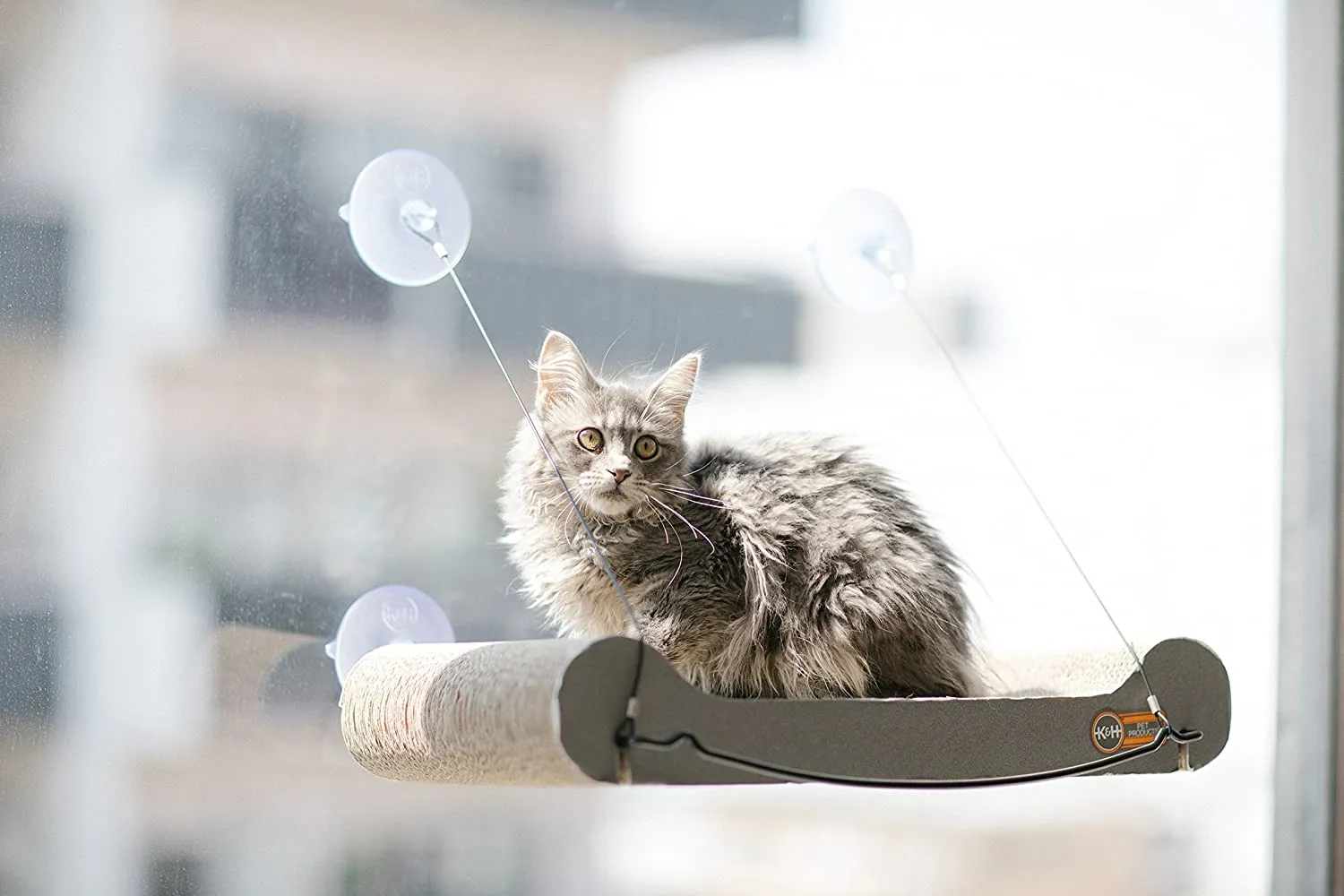Cat Scratcher Window Sill - K&H Pet Products EZ Mount Cat Scratcher Kitty Sill