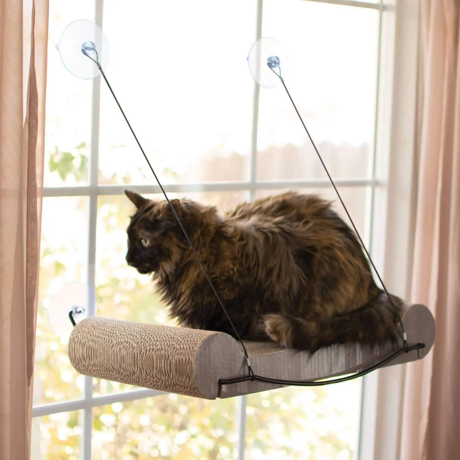 Cat Scratcher Window Sill - K&H Pet Products EZ Mount Cat Scratcher Kitty Sill
