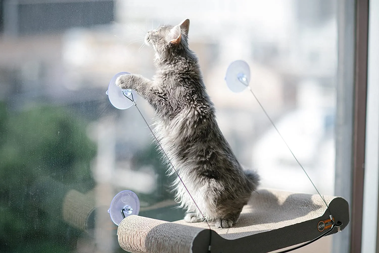 Cat Scratcher Window Sill - K&H Pet Products EZ Mount Cat Scratcher Kitty Sill