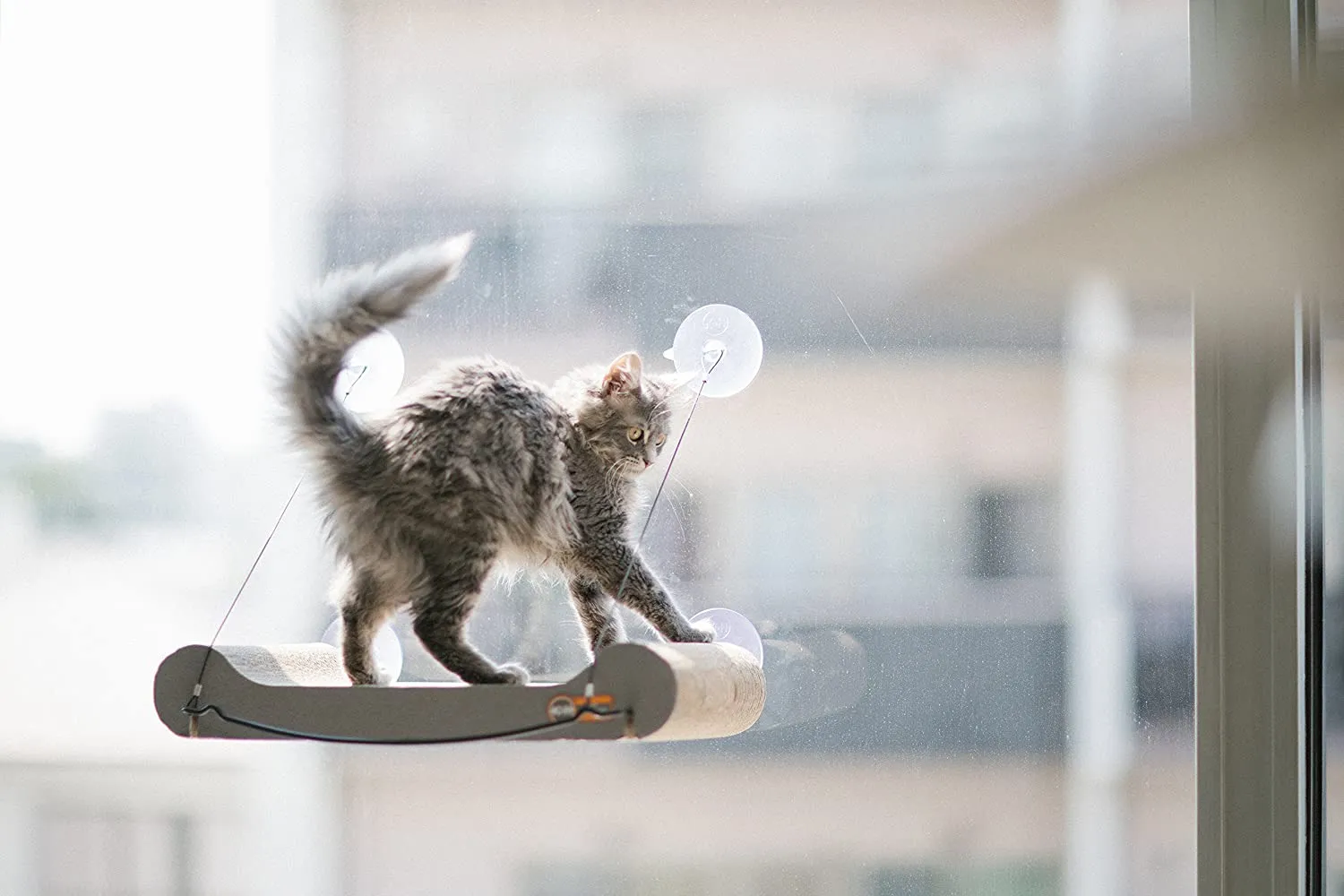 Cat Scratcher Window Sill - K&H Pet Products EZ Mount Cat Scratcher Kitty Sill