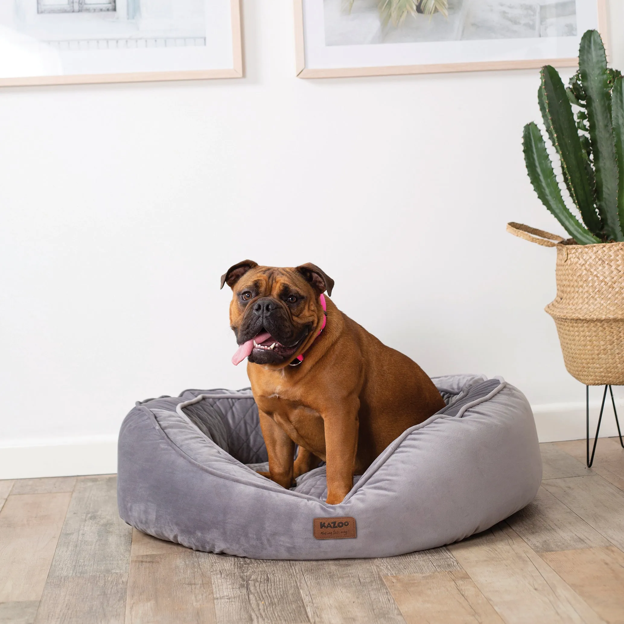 Cosy Bilby Dog Bed - Silver