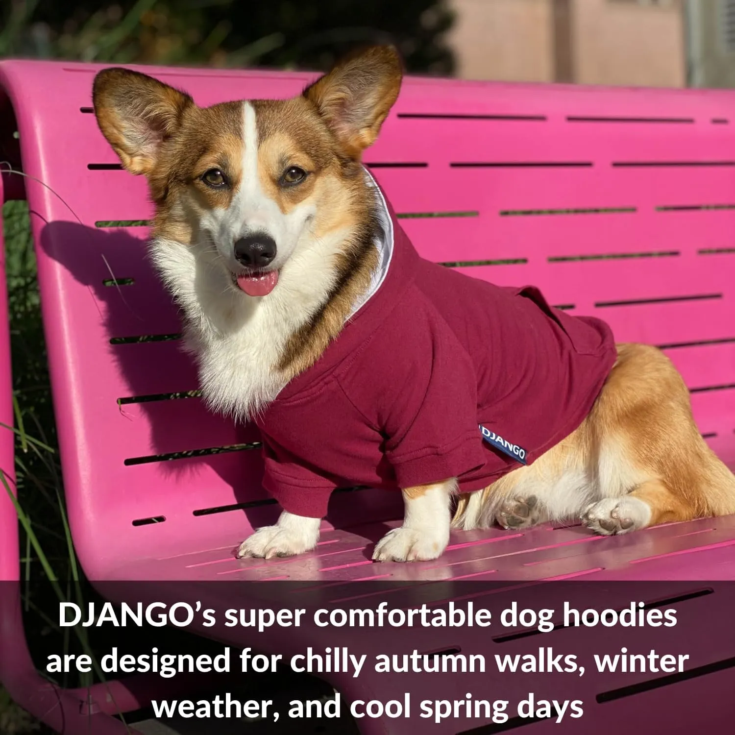 DJANGO Fully Lined Hoodie for Dog - Soft, Stretchy, and Cozy Sweatshirts for Dogs - Fuchsia Purple Winter Dog Sweaters for Dachshunds and Small Dogs - Warm Dog Hoodie Medium with Elastic Waistband