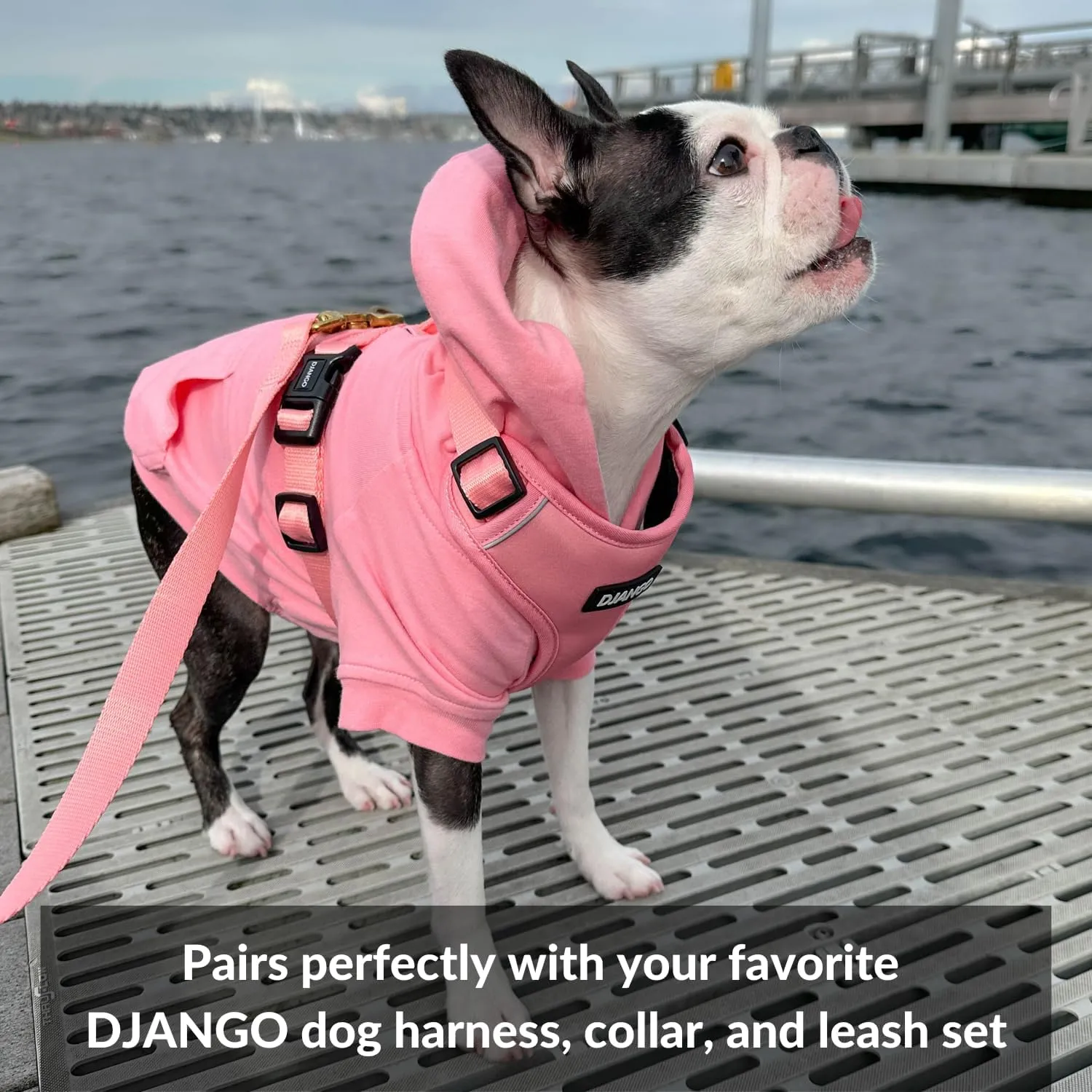 DJANGO Fully Lined Hoodie for Dog - Soft, Stretchy, and Cozy Sweatshirts for Dogs - Fuchsia Purple Winter Dog Sweaters for Dachshunds and Small Dogs - Warm Dog Hoodie Medium with Elastic Waistband
