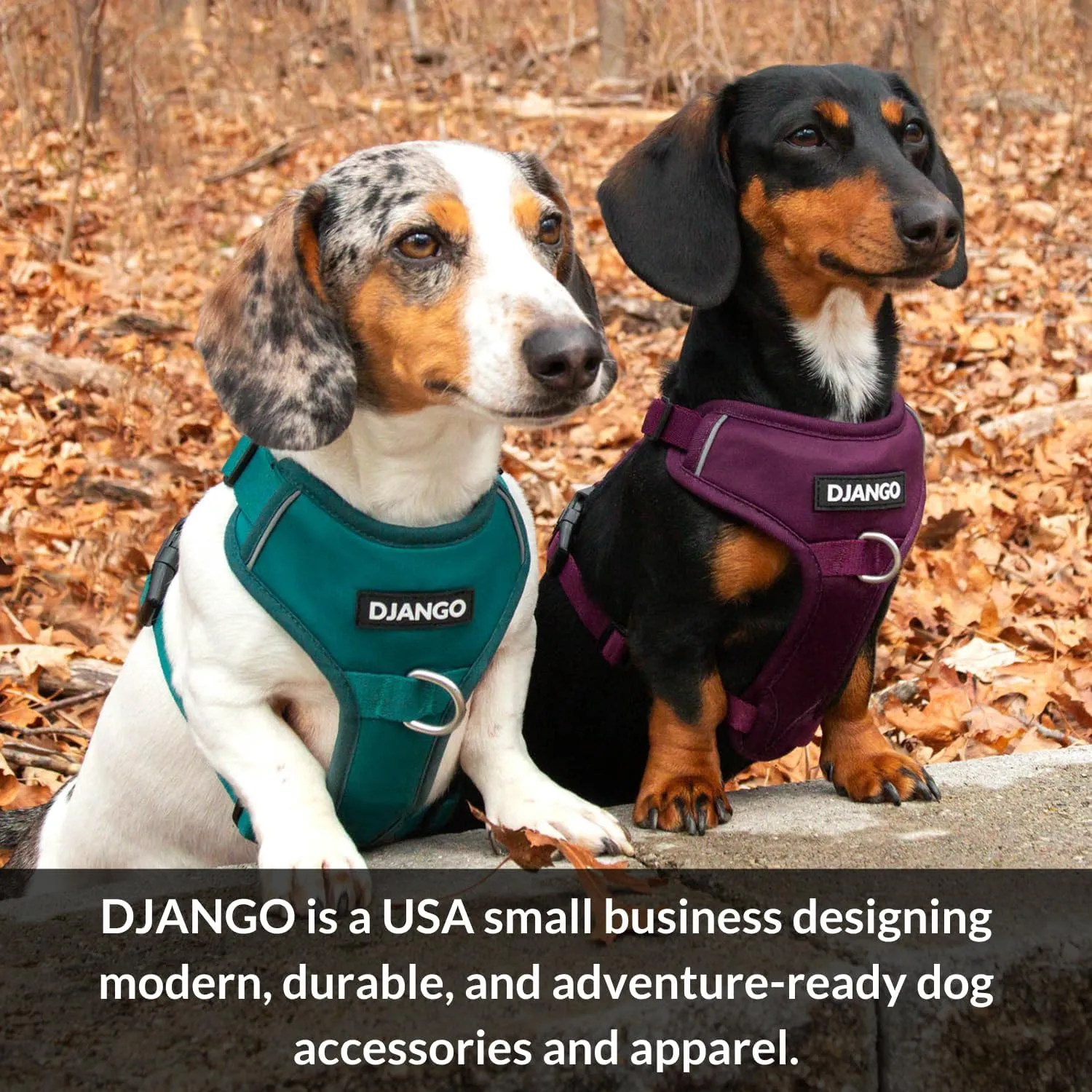 DJANGO Fully Lined Hoodie for Dog - Soft, Stretchy, and Cozy Sweatshirts for Dogs - Fuchsia Purple Winter Dog Sweaters for Dachshunds and Small Dogs - Warm Dog Hoodie Medium with Elastic Waistband