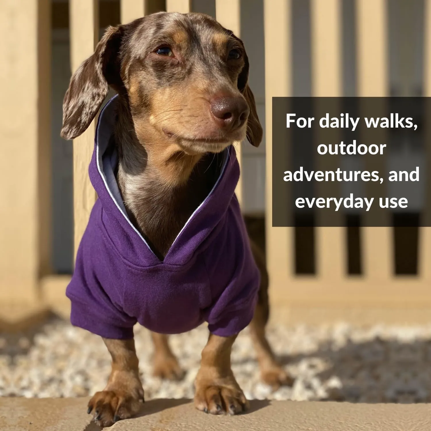 DJANGO Fully Lined Hoodie for Dog - Soft, Stretchy, and Cozy Sweatshirts for Dogs - Fuchsia Purple Winter Dog Sweaters for Dachshunds and Small Dogs - Warm Dog Hoodie Medium with Elastic Waistband