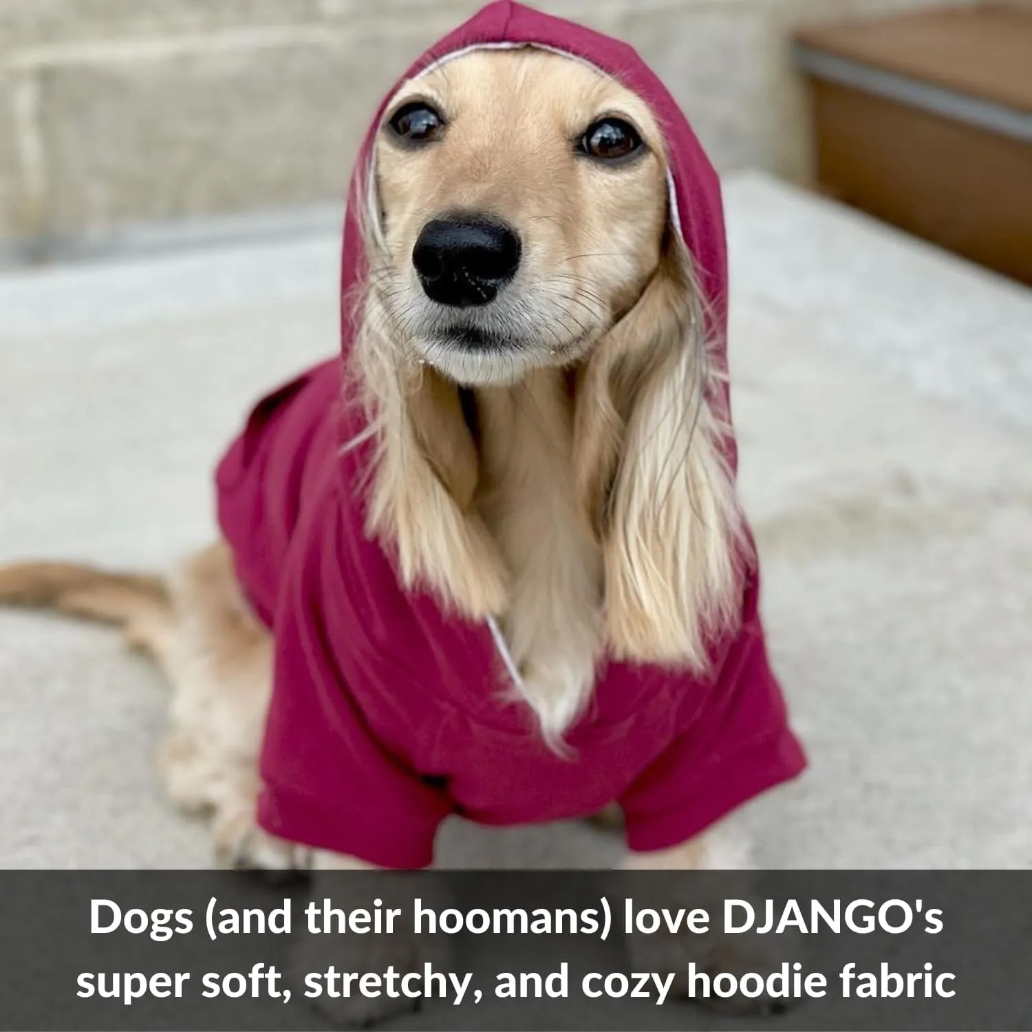 DJANGO Fully Lined Hoodie for Dog - Soft, Stretchy, and Cozy Sweatshirts for Dogs - Fuchsia Purple Winter Dog Sweaters for Dachshunds and Small Dogs - Warm Dog Hoodie Medium with Elastic Waistband