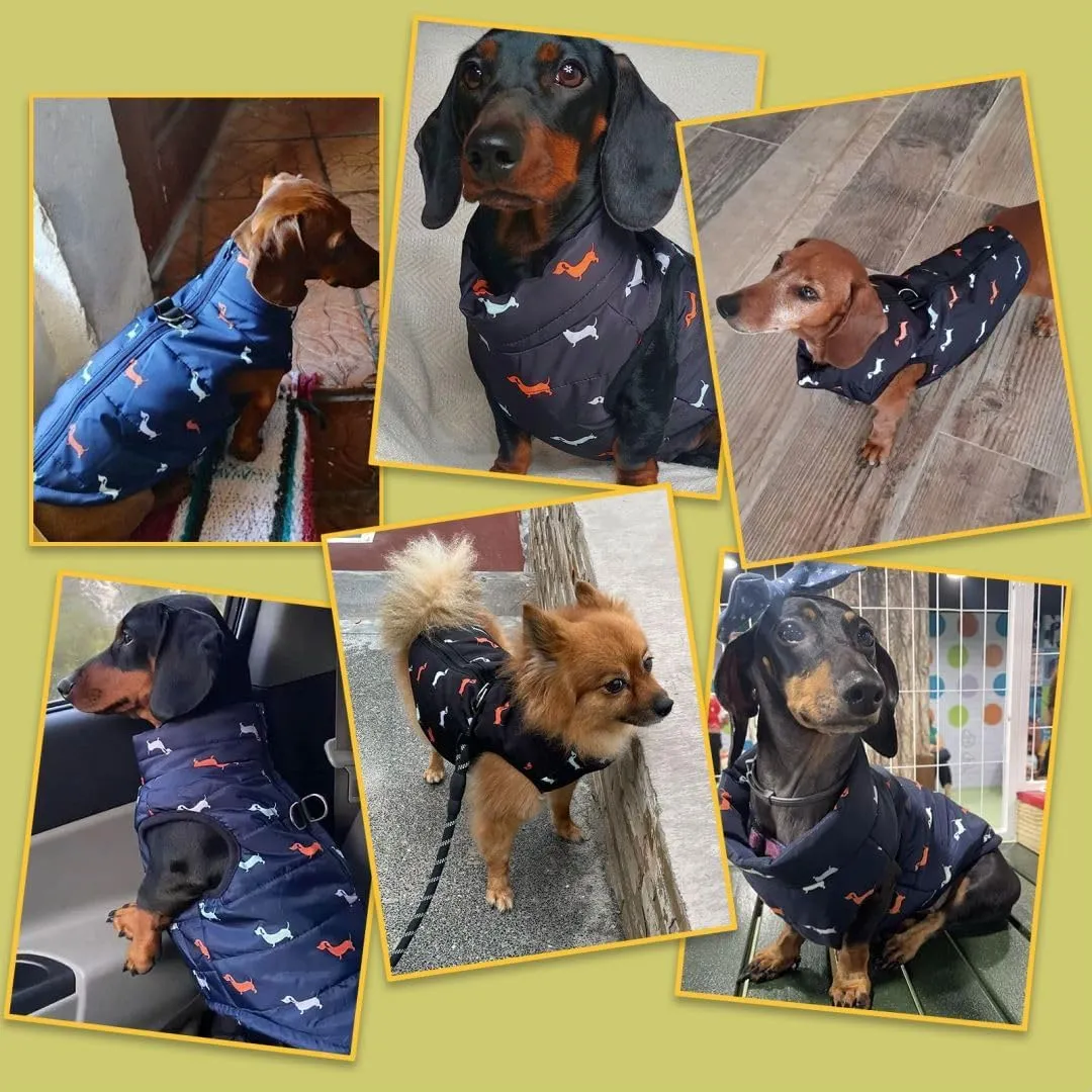 Dog Coat Warm Jacket with D-Ring Dogs Winter Coats Puppy Vest Puppy Jacket with Harness Waterproof Windproof Dog Coats for Small Dogs Blue