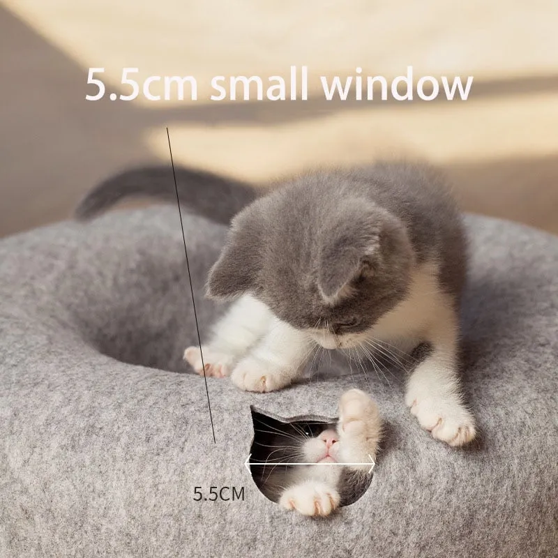 Donut Cat Cave