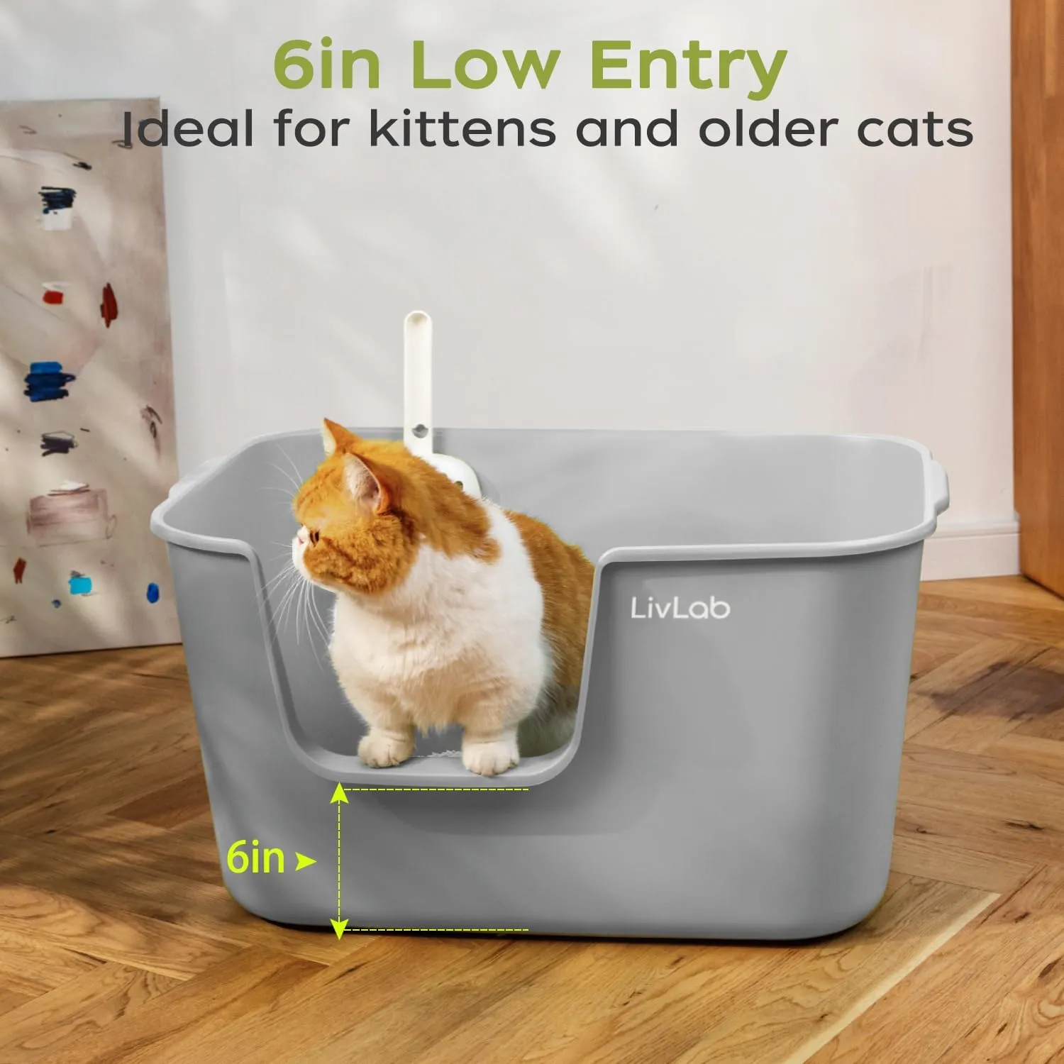 Extra Large Cat Litter Box - 25" Lx16 Wx13 H Open Top High Sided Pan, XL for Big Cats, high Wall Jumbo Litter Box, Anti-Splashing (Gray)