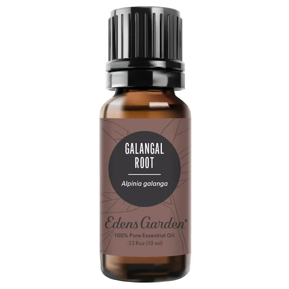 Galangal Root Essential Oil
