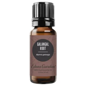 Galangal Root Essential Oil