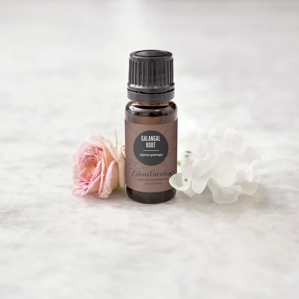 Galangal Root Essential Oil
