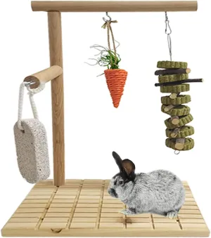 Hamiledyi Bunny Scratching Board Bunny Chew Toys, Wood Rabbit Toys for Indoor Bunnies Boredom Bunny Enrichment Toys for Chinchilla Guinea Pigs Hedgehog