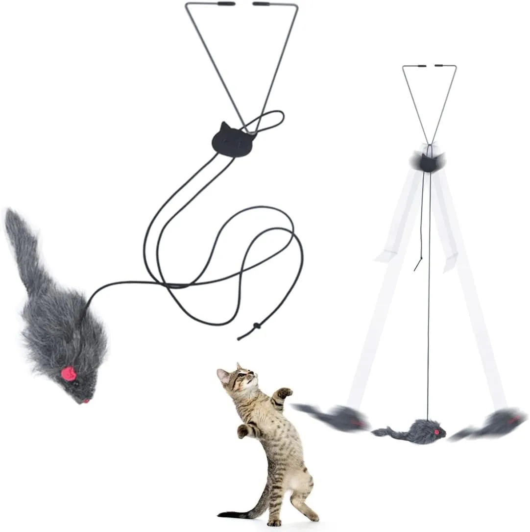 Hanging cat Toy 2 Pack, Azeroth Interactive cat Toys ,cat Toys Interactive for Indoor Cats Kitten Play Exercise, Kitten Fun Mental Physical Exercise Puzzle Kitten Toys