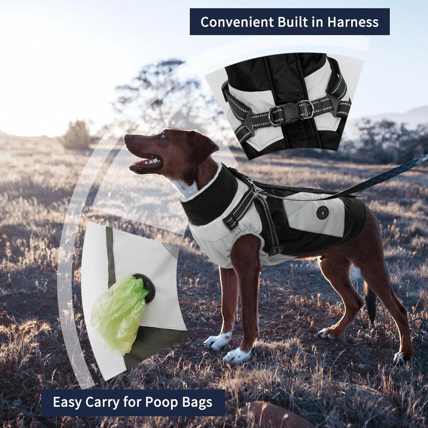 IECOii Warm Small Dog Coat Harness with D Ring - Black, Small, Zip Dog Jacket Winter Reflective, Fleece Lined Snowsuit, Pet Clothes for Yorkshire Terrier, Bichon, Shih Tzu