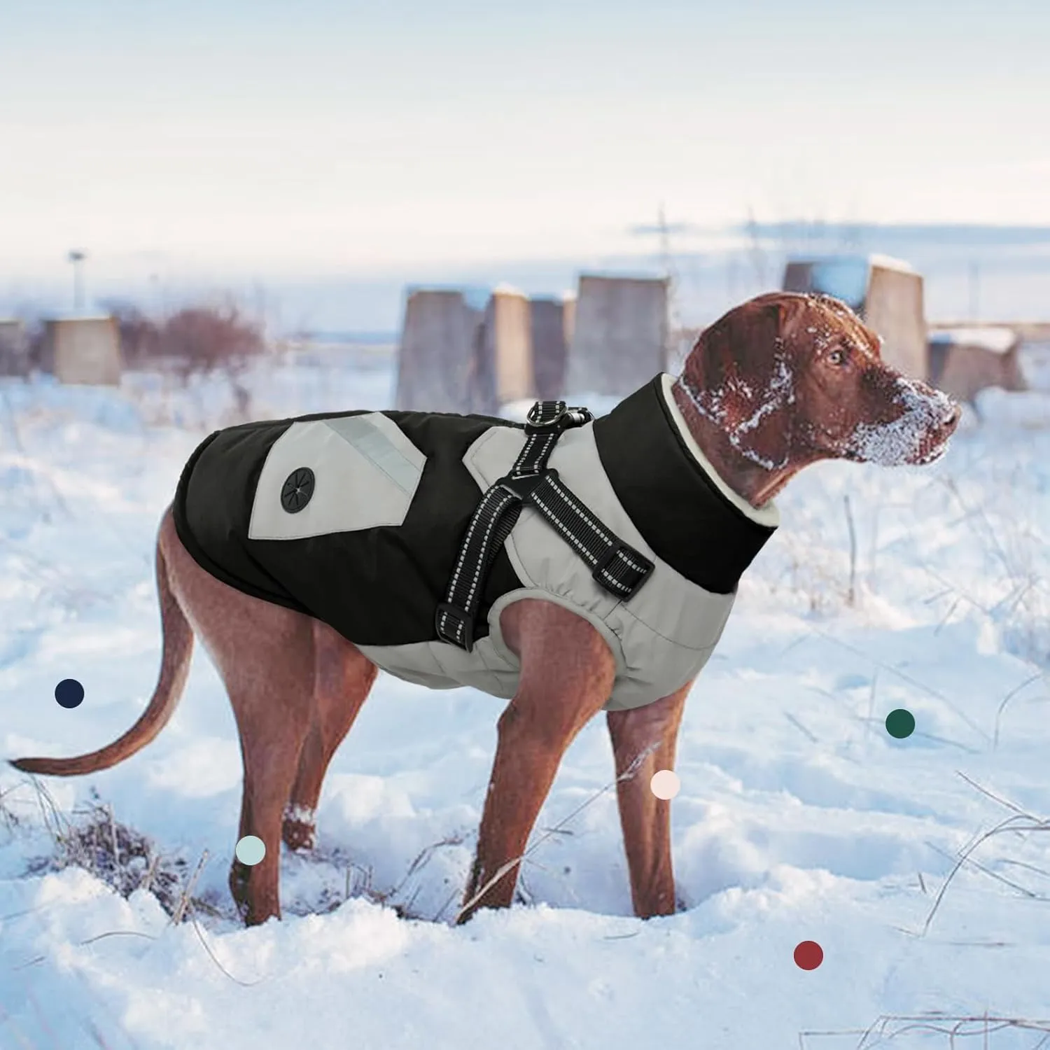 IECOii Warm Small Dog Coat Harness with D Ring - Black, Small, Zip Dog Jacket Winter Reflective, Fleece Lined Snowsuit, Pet Clothes for Yorkshire Terrier, Bichon, Shih Tzu