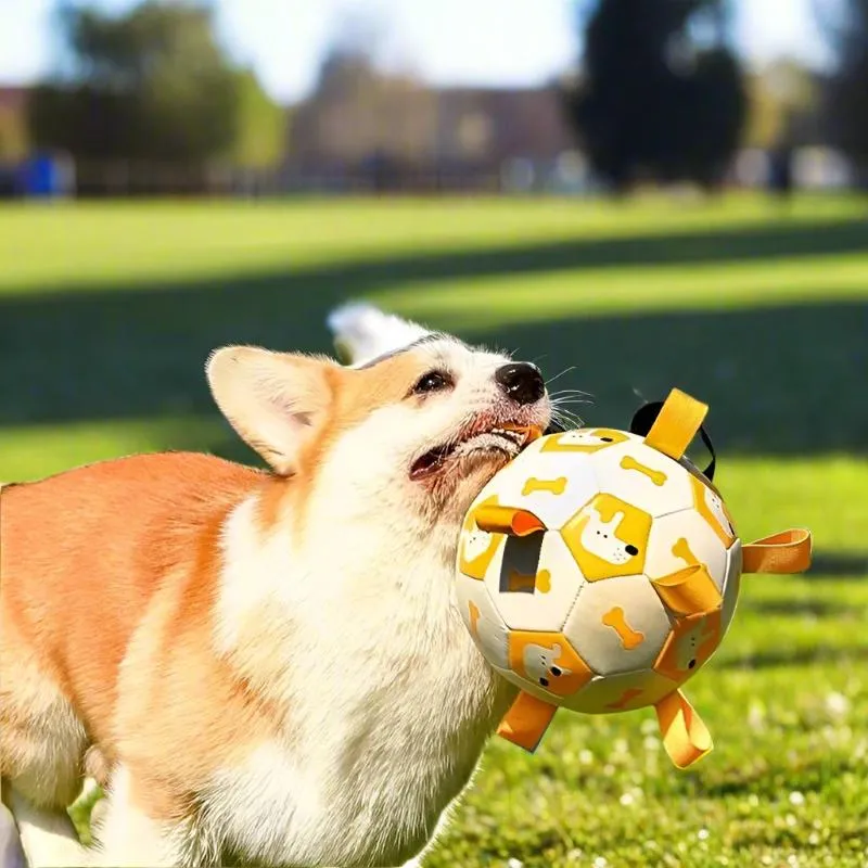 Interactive Dog Soccer Ball for Outdoor Training