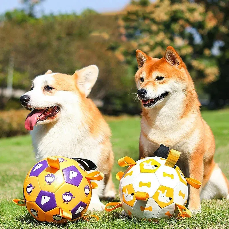 Interactive Dog Soccer Ball for Outdoor Training