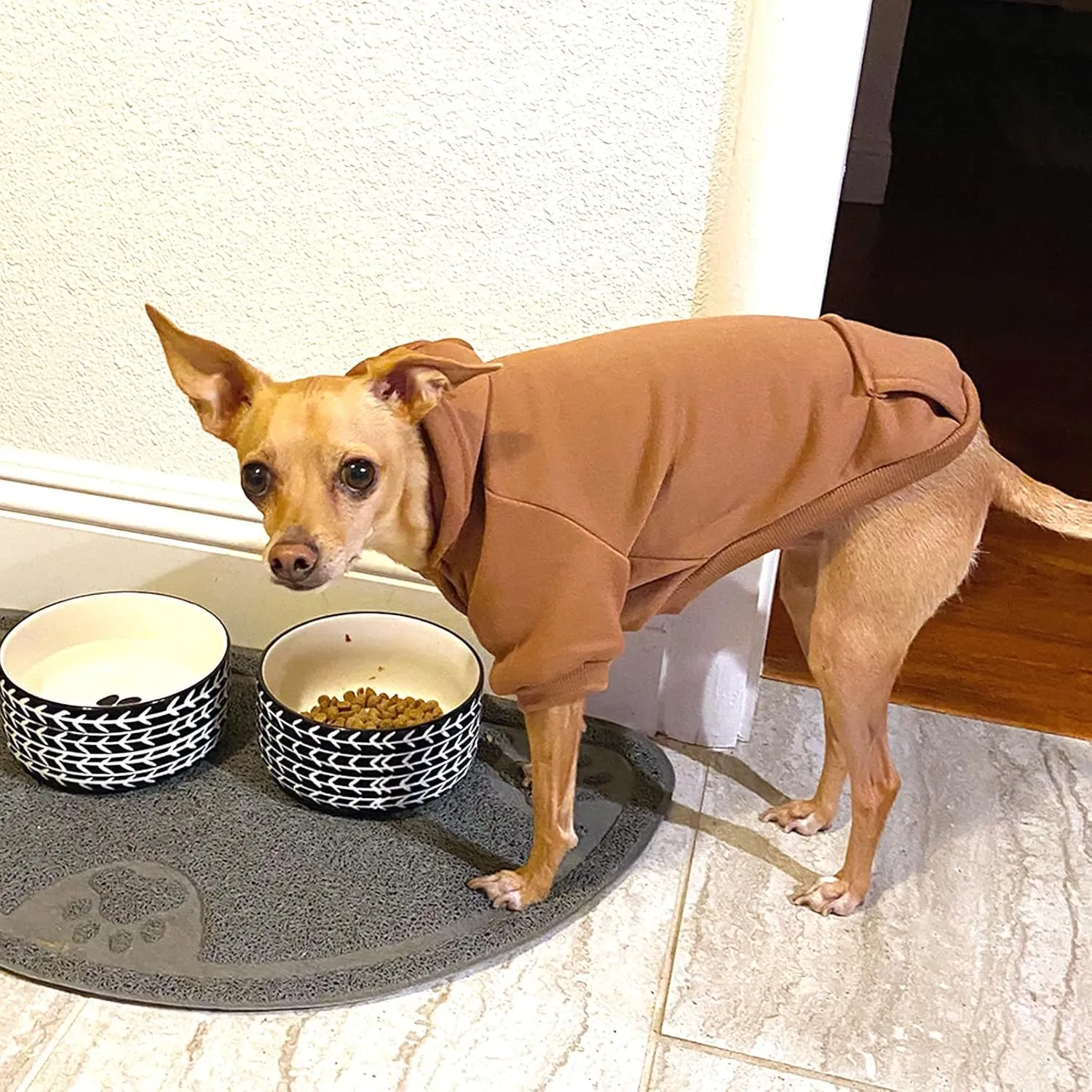 Jecikelon Winter Dog Hoodie Sweatshirts with Pockets Warm Dog Clothes for Small Dogs Chihuahua Coat Clothing Puppy Cat Custume (Coffee, Medium)
