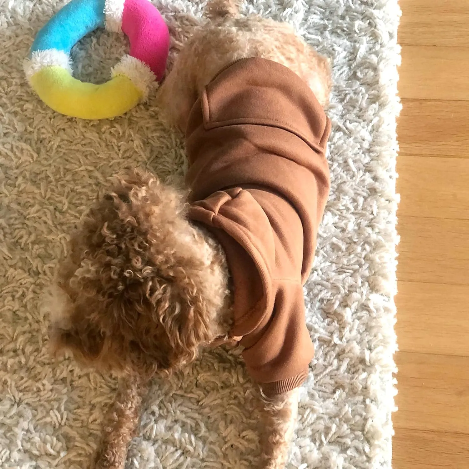 Jecikelon Winter Dog Hoodie Sweatshirts with Pockets Warm Dog Clothes for Small Dogs Chihuahua Coat Clothing Puppy Cat Custume (Coffee, Medium)