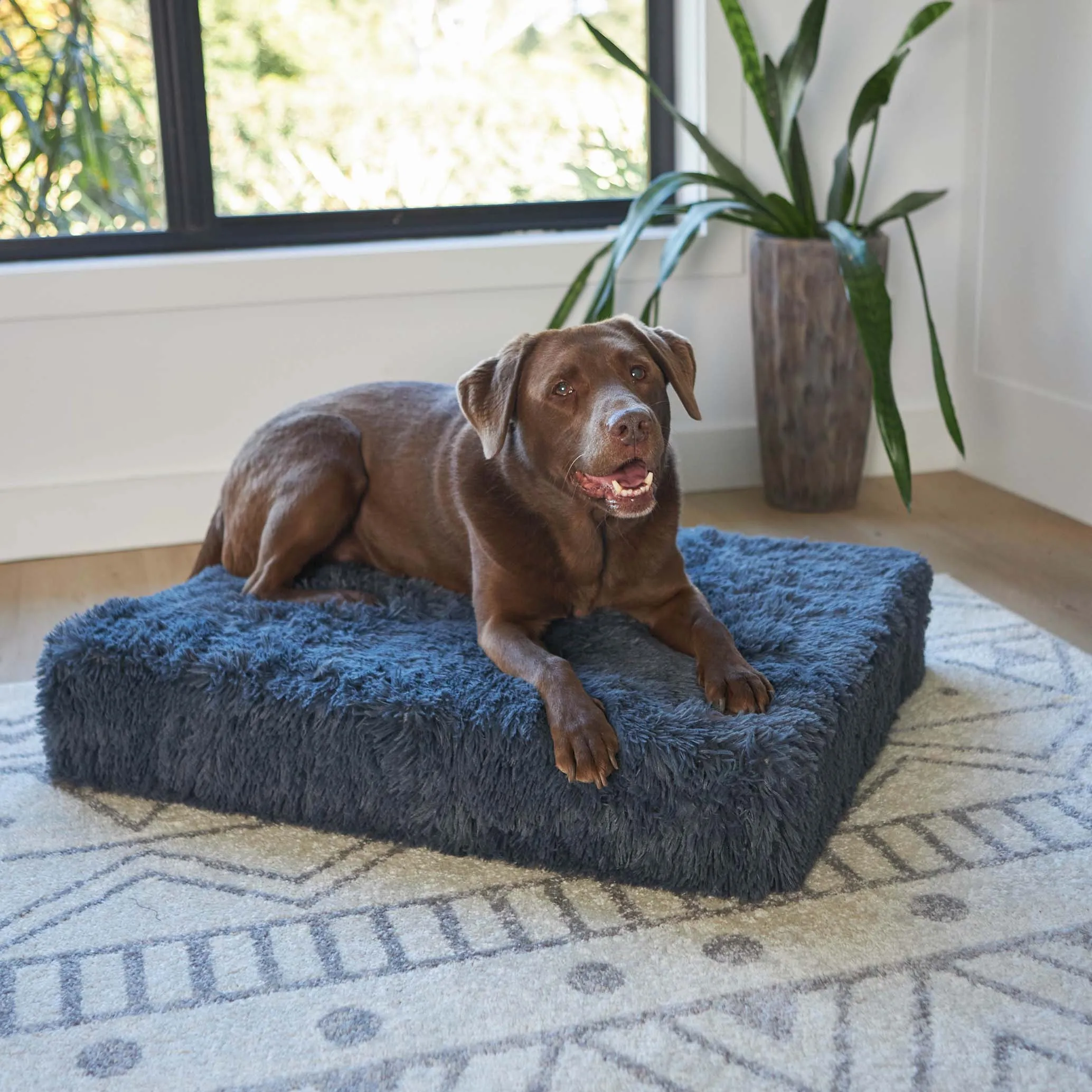 Kazoo Slumber Medium Plush Grey Dog Bed***