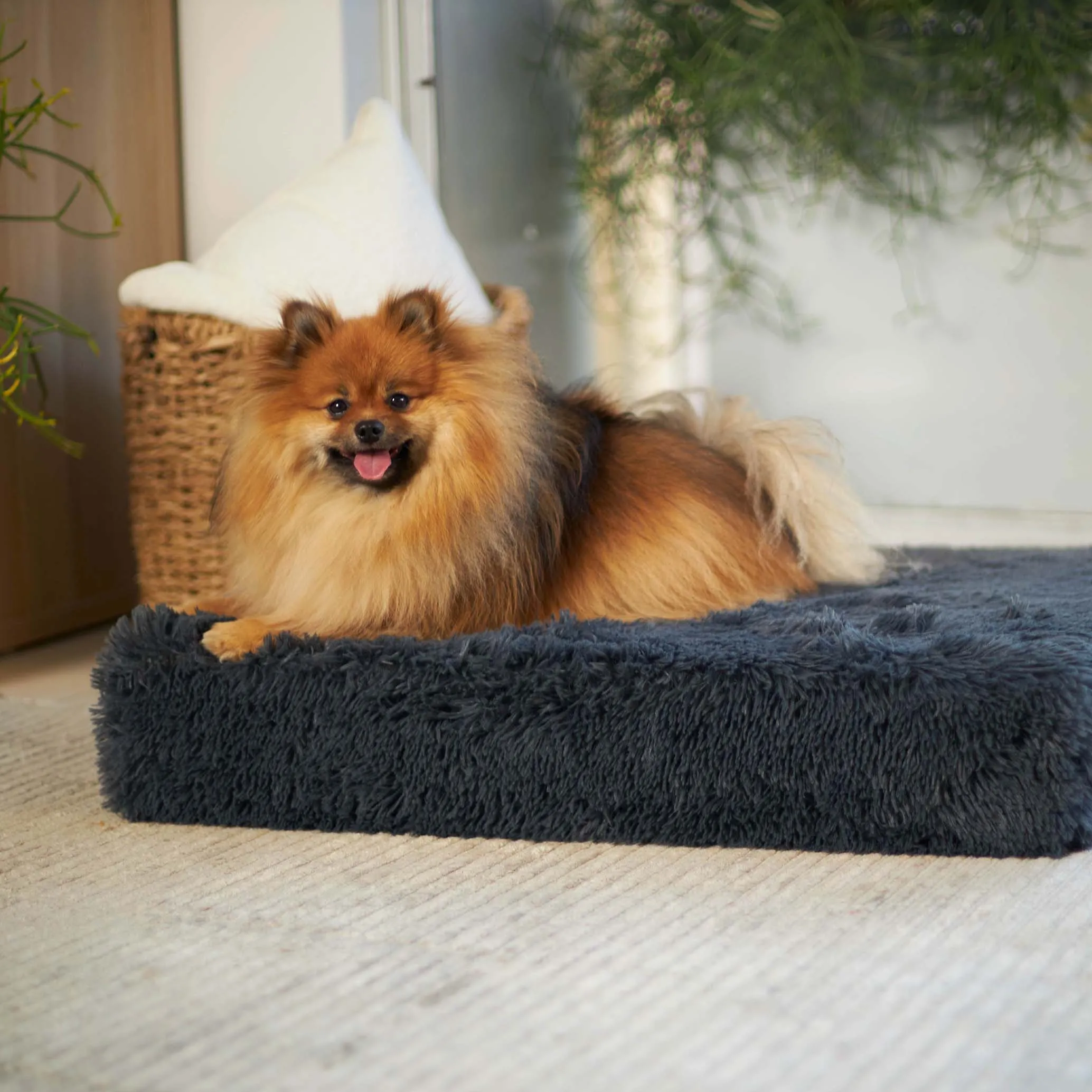 Kazoo Slumber Medium Plush Grey Dog Bed***