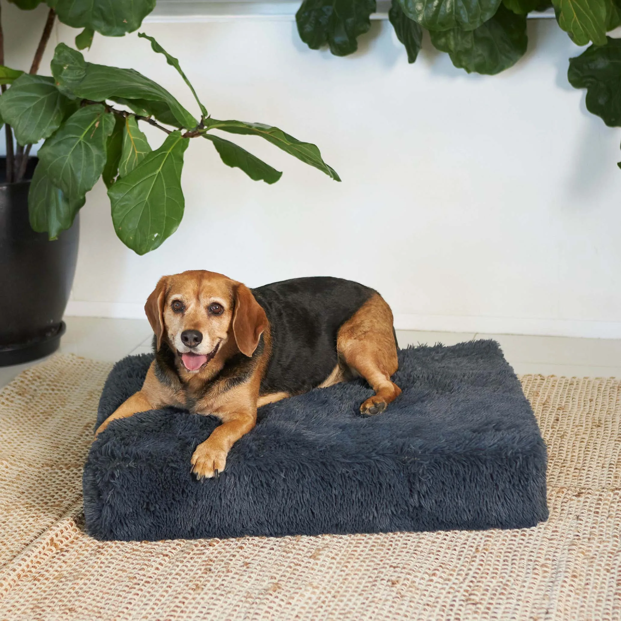 Kazoo Slumber Medium Plush Grey Dog Bed***