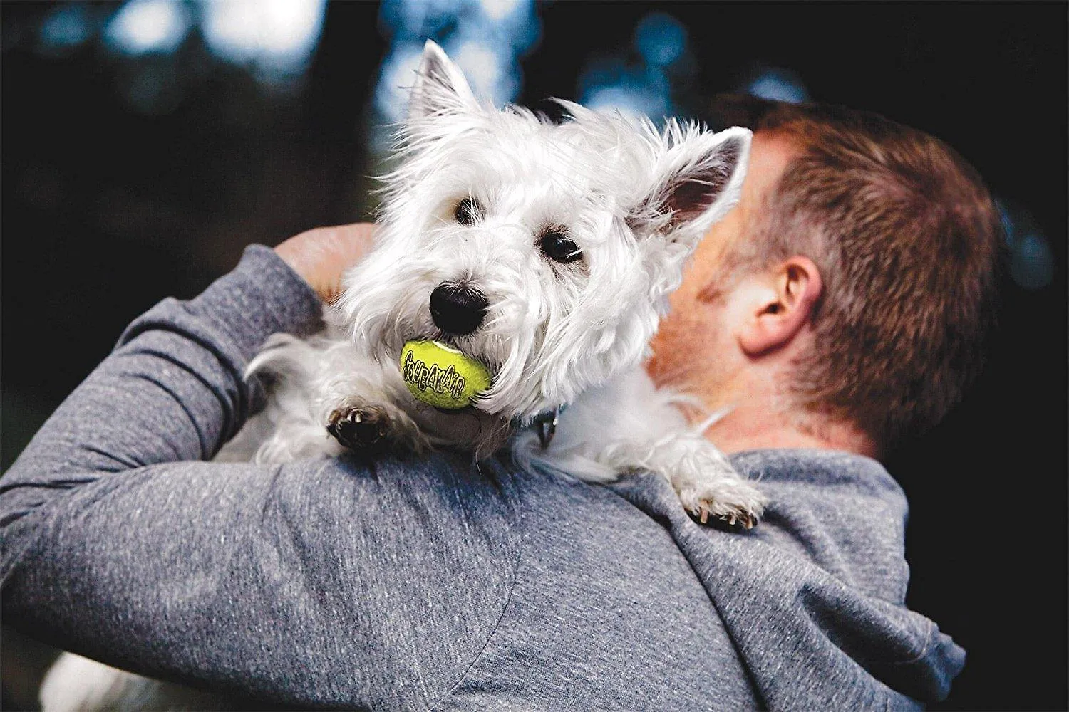 KONG SqueakAir Tennis Balls: Multi Packs