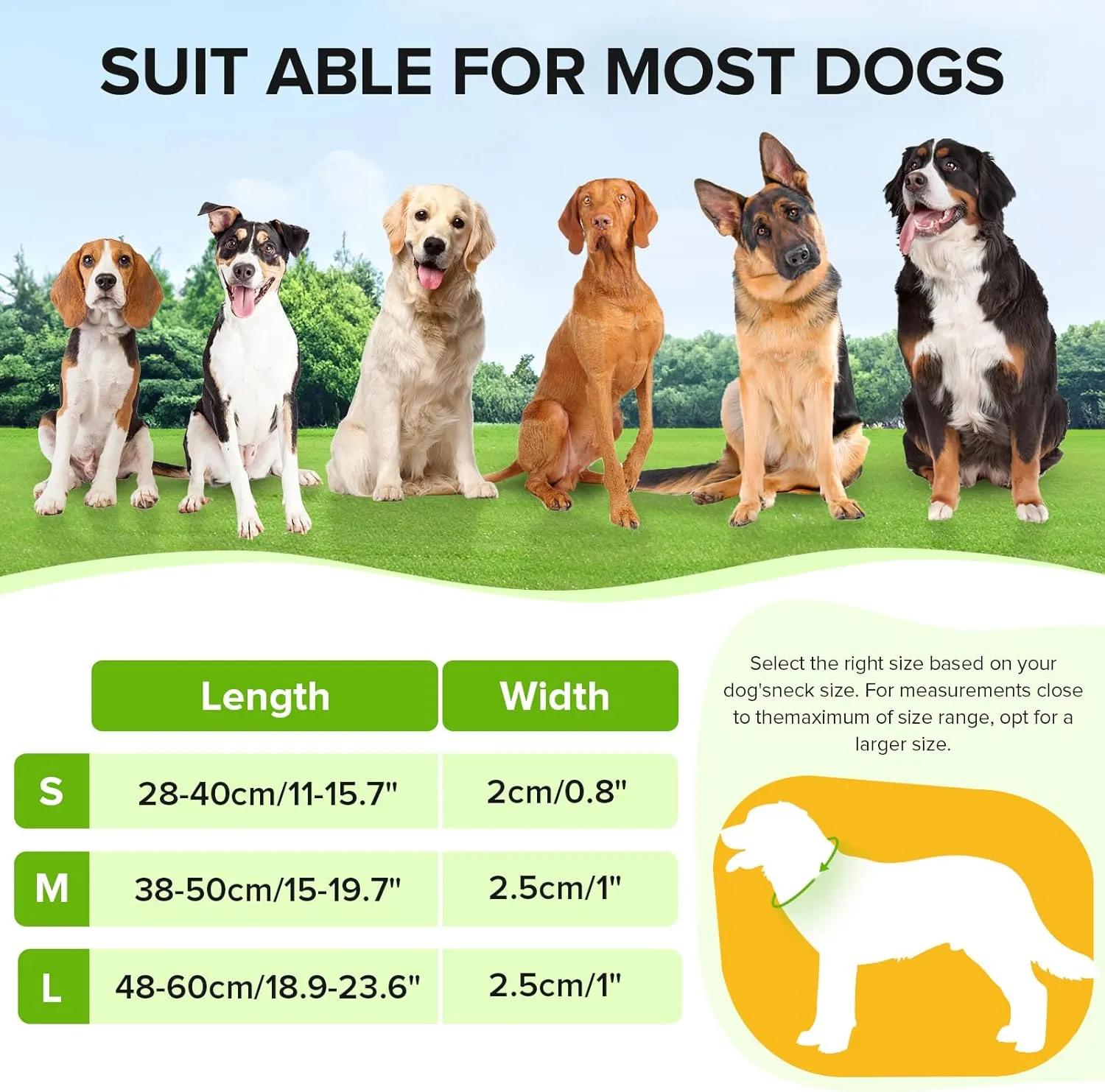 Led Dog Collar for Night Walking,Rechargeable Light Up Dog Collar Led Color,Glow in The Dark Dog Collars Waterproof for Small Medium Large Dogs (Green, Large)