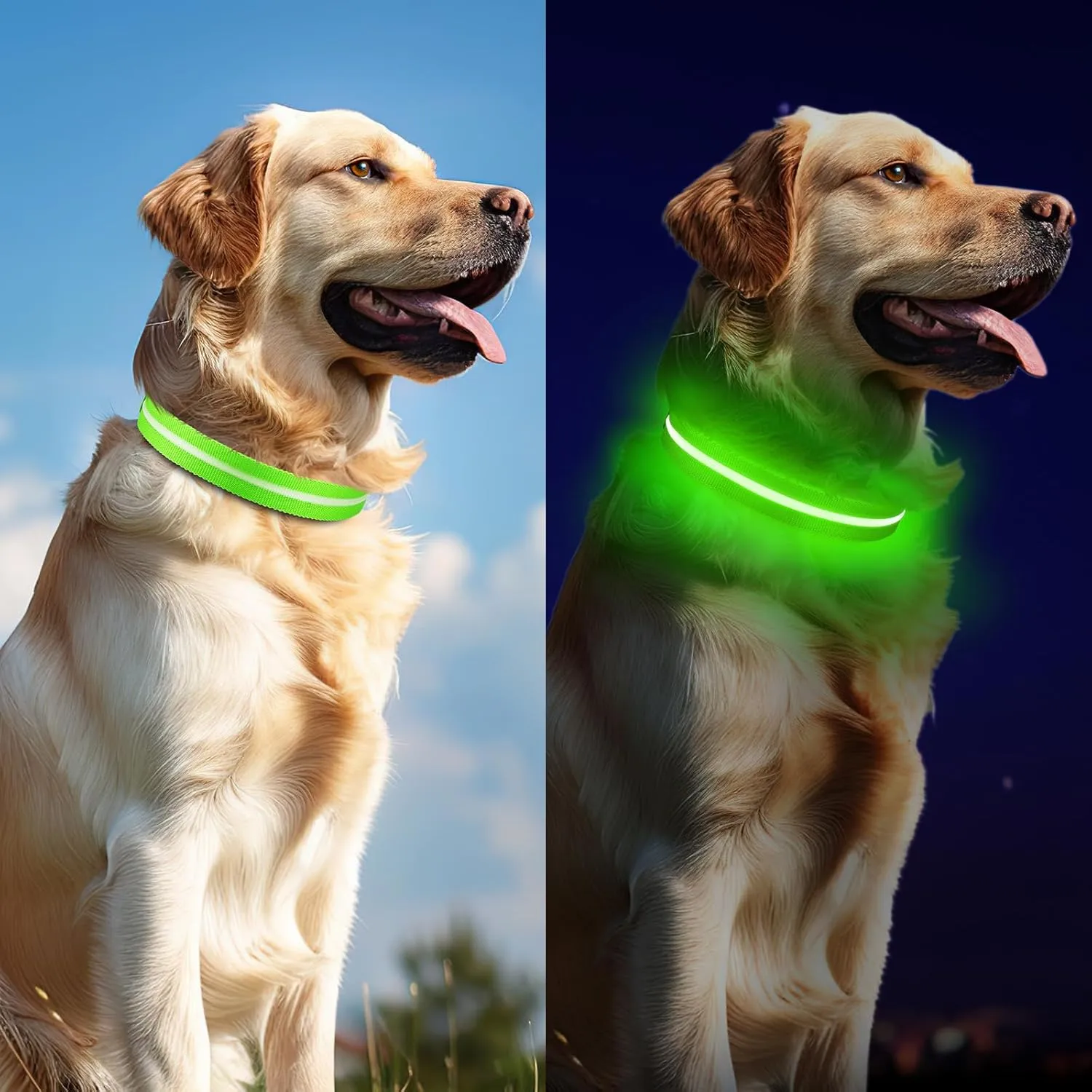 Led Dog Collar for Night Walking,Rechargeable Light Up Dog Collar Led Color,Glow in The Dark Dog Collars Waterproof for Small Medium Large Dogs (Green, Large)