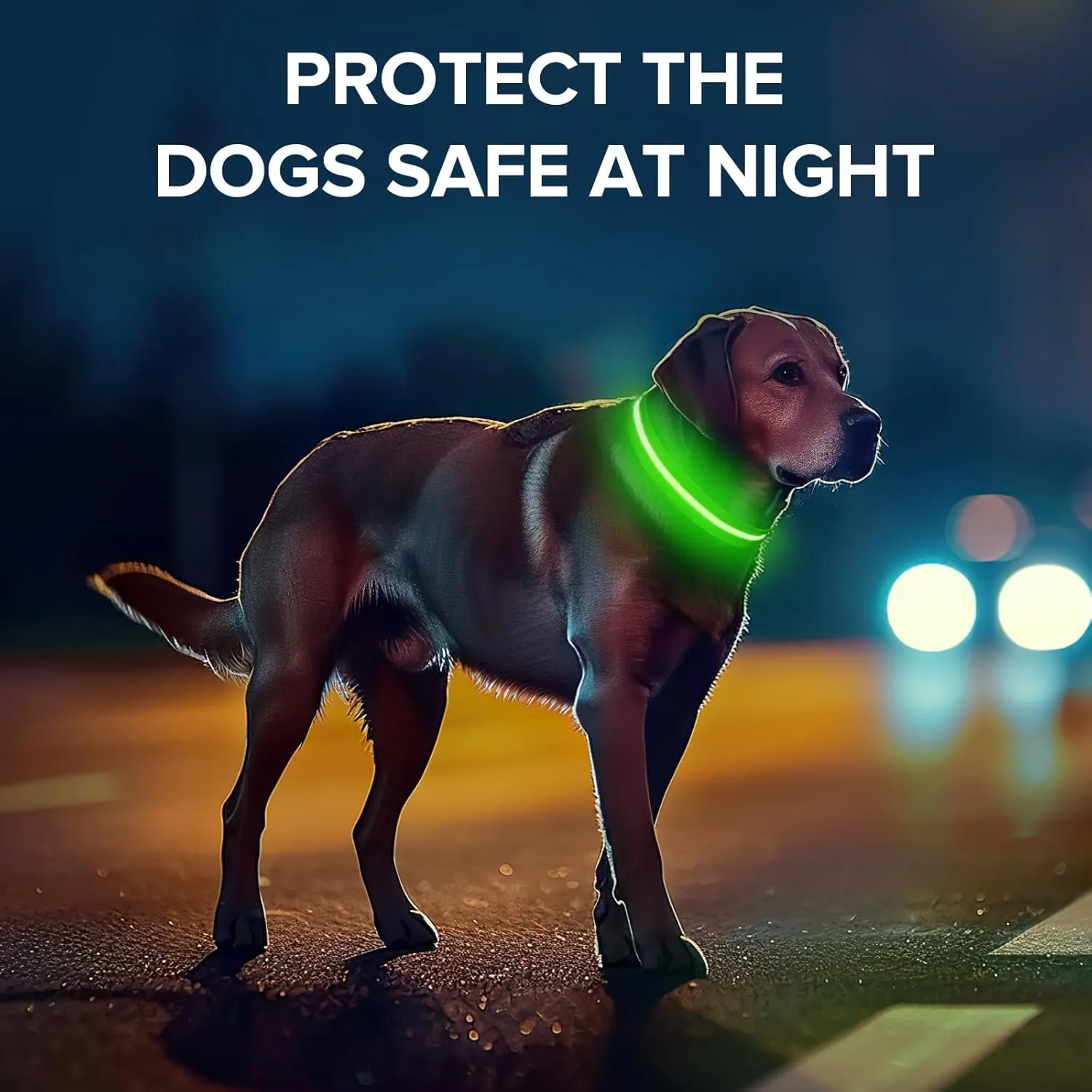 Led Dog Collar for Night Walking,Rechargeable Light Up Dog Collar Led Color,Glow in The Dark Dog Collars Waterproof for Small Medium Large Dogs (Green, Large)