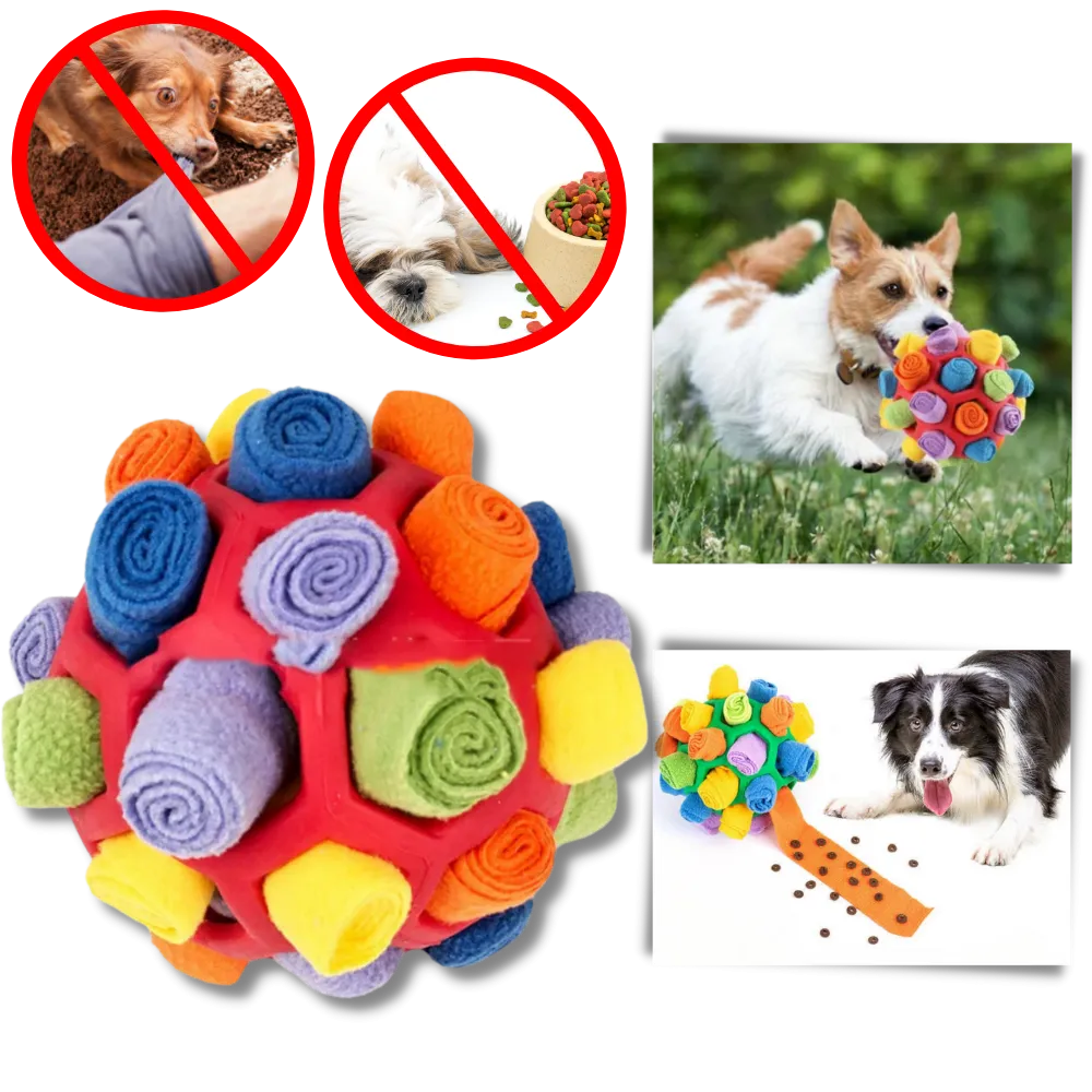 Mental Stimulator Snuffle Ball