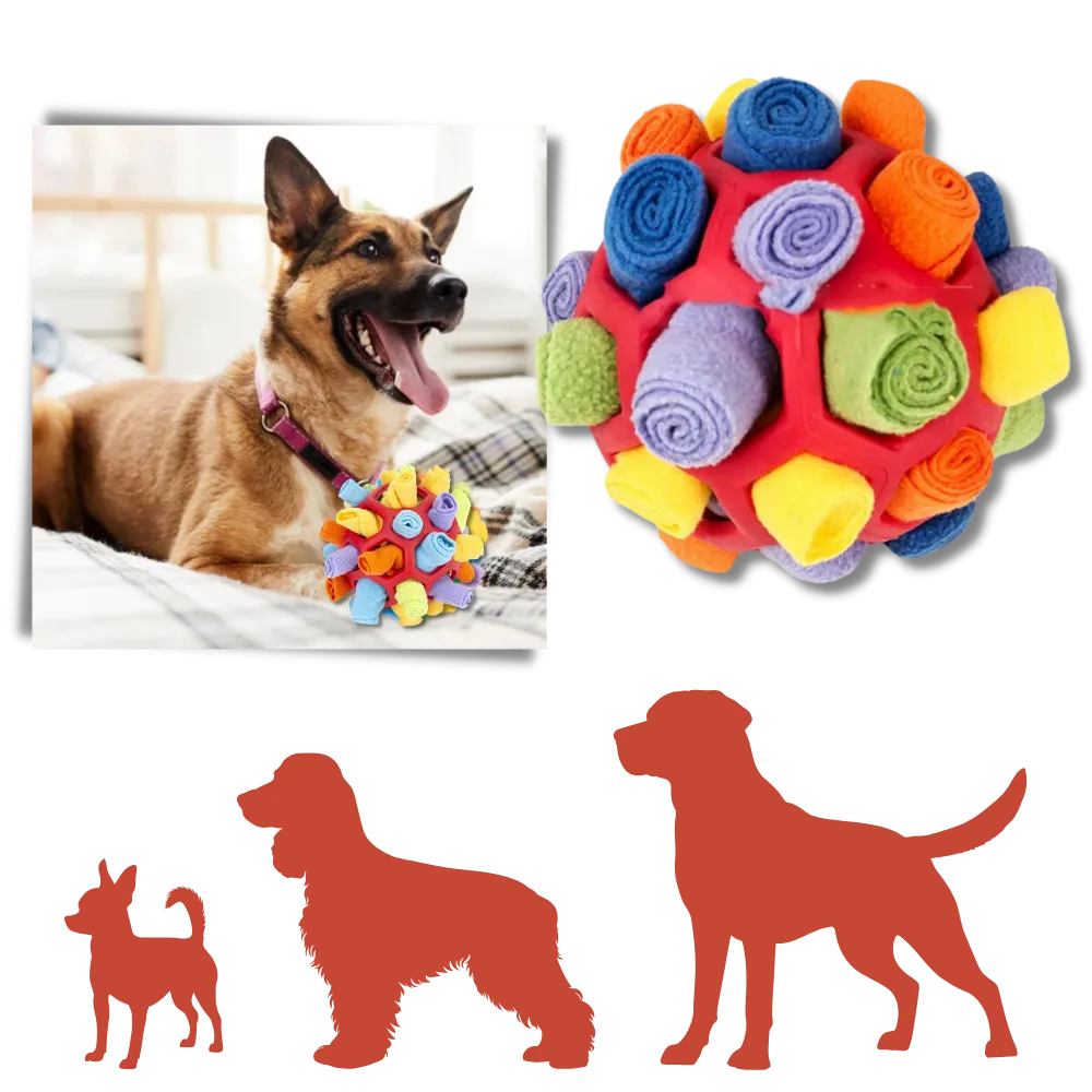 Mental Stimulator Snuffle Ball