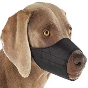 Nylon Dog Muzzle