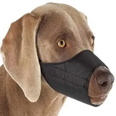 Nylon Dog Muzzle
