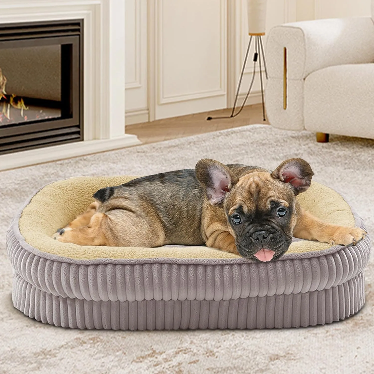 Orthopedic Dog Bed for Small Dogs Breeds, High Density Egg Crate Foam Dog Sofa Beds,Oval Kennel Bed, Pet Couch Bed with Four Sided Bolster, Removable Washable Cover& Non-Slip Bottom
